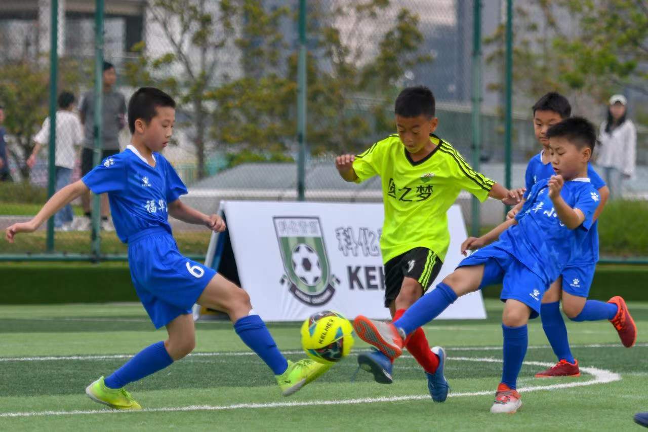 全新系列 全新系列