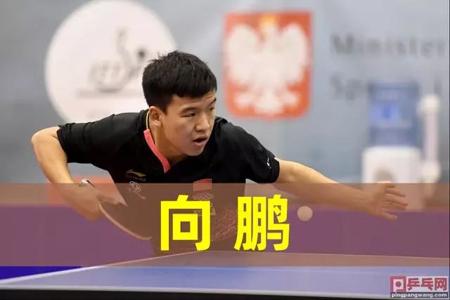 引援上表现 引援上表现